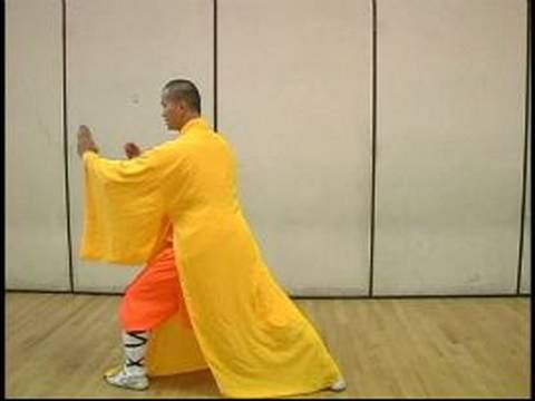 Yumruk Shaolin Kung Fu Elmas : Kung Fu Elmas Yumruk Hamle 8