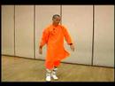 Elmas Yumruk Shaolin Kung Fu : Shaolin Boks Sürekli Hareket 4 Resim 4