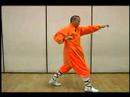 Elmas Yumruk Shaolin Kung Fu : Shaolin Sürekli Boks Hamle 2 Resim 4