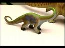 Dinozorlar Türleri: Dashanpu'daki Dinozor Gerçekler