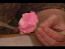 Nasıl Şeker Sakız Yapıştır Çiçekler Yapmak İçin: Petal Toz Nedir? Resim 4