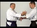 Ikkyo: Aikido Teknikleri: Bir Açık Kapmak--Dan Ikkyo