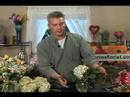Ortanca Çiçek Aranjmanları: Hydrangea Çiçek Düzenlemek Nasıl
