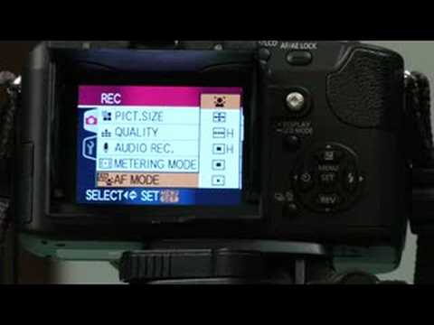 Temel Dijital Kamera Kullanımı : Dijital Kamera Otomatik Odaklama Resim 1