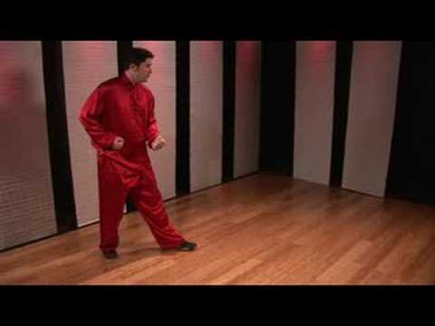 Kung Fu Tekme Kombinasyonları : Kung Fu Kombinasyonları: Dairesel Blok, Kurşun Yumruk Ve Ön Tekme Düşük  Resim 1