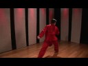 Kuzey Tarzı Kung Fu Tarak: Kuzey Tarzı Kung Fu Combo: El Çiçekli, Kanca Bloğu, Çift Pençe Ve Ters Yumruk Resim 4