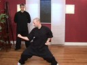 Kung Fu Teknikleri: Kung Fu Yan Yumruk