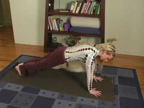 Yoga Üst Vücut Gücü İçin Poz : Yoga Plank Üst Vücut Gücü İçin Poz 