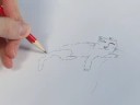 Karikatür Kedi Çizmeyi: Karikatür Kedi Uyku Çizim Resim 4