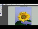 Photoshop İpuçları Ve Teknikleri: Adobe Photoshop Gradyan Araçları İpuçları Resim 4