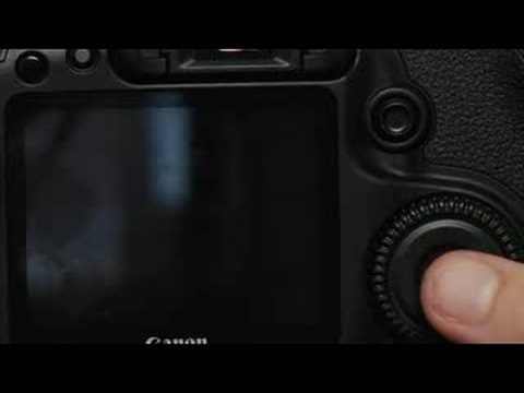 Gelişmiş İpuçları İçin Canon Eos 40 : Canon Eos 40: Live View Çekim
