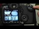 Görüntü Canon Eos 40D Oynatmak: Canon Eos 40D: Görünüm Büyütülmüş