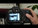 Görüntü Canon Eos 40D Oynatmak: Canon Eos 40D: Atlama Görüntü Resim 3