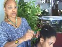 Rasta Saç Modeli Teknikleri : Rasta: Tarak Bakım Twist 