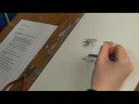 Yüz Çizim Teknikleri: Burun Bir Yüz Çizim Gölgelendirme