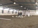 Horse Gaits : Sağ Ayak Kurşun Oturan Bir Tırıs Gelen Eşkin  Resim 4