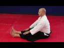 Aikido Egzersizleri Ve Uzanıyor: Hamstring Aikido Streç Resim 3