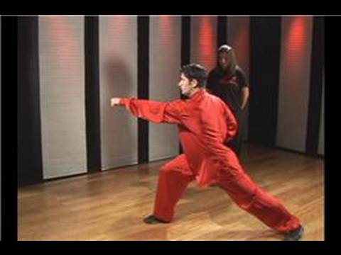 Kung Fu Yumruklar : Ters Yumruk Kung Fu  Resim 1