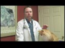 Kedilerde Deri Kanseri Tespit Etmek İçin Nasıl Bir Sağlık İpuçları Kedi :  Resim 4