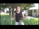 İpuçları Bahçe: Bambu Kurtulmak İçin Nasıl Resim 3