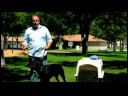 Hyper Köpek Eğitmek İçin Nasıl Köpek Eğitim İpuçları :  Resim 4