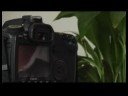 Canon Eos 40 Üzerinde otomatik odak ve Sürücü Modu : Canon Eos 40: El otomatik netleme Modu Resim 2