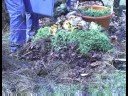 Organik Gübre Bahçe : Organik Kompost Çöp Ve Diğer Malzemeleri Ekleyerek 
