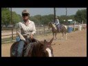 Çalışma Sığır & Team Penning : Çalışan İnek Bir At Seçimi  Resim 2