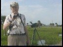 Kuş Dürbün Ve Alan Kılavuzları Gözlemciliği : Kuş Gözlemciliği Dürbün Resim 4