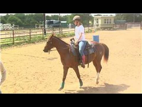 Daha Az Eğitimli Bir At İle Acemi Binicilik : Daha Az Eğitimli Atlar Sürüş İçin Güvenlik İpuçları 