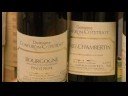Pinot Noir Şarabı : Burgonya Pinot Noir Çeşitleri