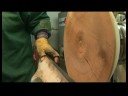 Woodturning: İç Kase Kaba : Woodturning: Matkap Pilot Delik Part Two Resim 4