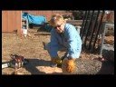 Bir Kase Boş Woodturning İçin Hazırlanıyor: Bir Kase Boş Bir Chainsaw Kullanma Hazırlanıyor