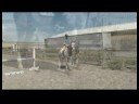 At Üstünde Yedeklemek İçin Nasıl Bakım At & Binicilik :  Resim 4