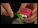 Evde Diş Temizleme: Neden Dişleri Temizlemek Resim 4