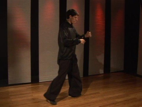 Praying Mantis Kung Fu Dövüş : Praying Mantis Kung Fu: Basarak Blok Yüksek Düşük Grev Resim 1
