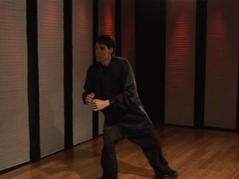 Praying Mantis Kung Fu Dövüş : Praying Mantis Kung Fu: Dış Önkol Blok Sayaç Punch Geri Adım  Resim 1
