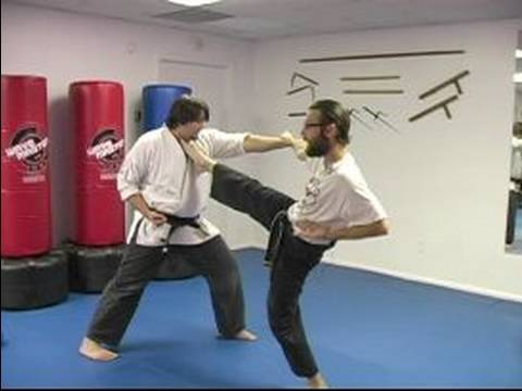 Beş Hayvan Shaolin Dövüş Sanatları : Shaolin Dövüş Sanatları Teknikleri Vinç 