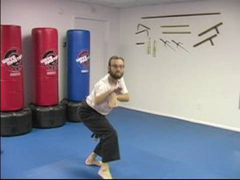 Beş Hayvan Shaolin Dövüş Sanatları : Yılan Shaolin Dövüş Sanatları Dövüş Stili 