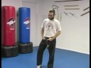Beş Hayvan Shaolin Dövüş Sanatları : Kaplan Shaolin Dövüş Sanatları Dövüş Stili 
