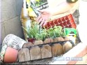 Nasıl Kapalı Veya Açık Havada Bir Ot Bahçe Büyümeye: Basic Herb Bahçe Büyüyen Malzemeleri Resim 2