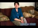 Birden Fazla Köpek Bakımı Nasıl Yapılır : Birden Fazla Köpek Disiplin Nasıl  Resim 4