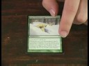 Magic The Gathering: Yeşil Kart İçin Rehber: Hibernations Sona Magic The Gathering'da Yeşil Kart Resim 4