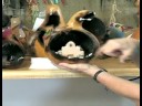 Nasıl Kabak Sanat Yapmak : Gölge Kutusu Nasıl Yapılır: Kabak Dekorasyon  Resim 4