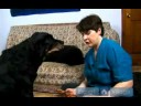Yaşlı Köpek Bakımı Nasıl Yapılır : Diş Yaşlı Köpekler İçin Bakım  Resim 4