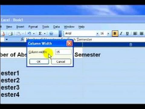 Microsoft Excel Nasıl Kullanılır : Satır, Sütun Ve Sınırları Oluşturma: Bölüm 2
