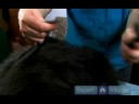 Uzun Saçlı Köpek Bakım Talimatları: İkinci Adımları Dışarı Senin Köpeğin Kat Mats Alma