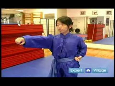 Acemi Wushu Teknikleri : Wushu Yumruk Ve Tekme Teknikleri Öğrenmek  Resim 1