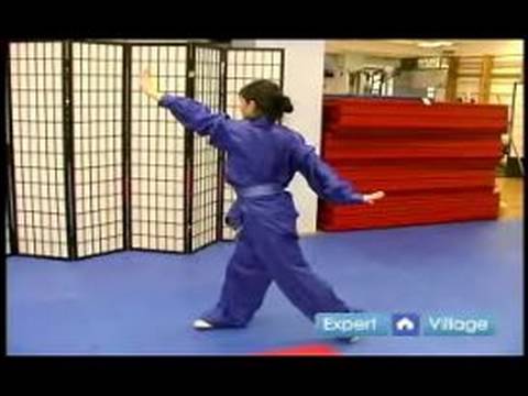 Wushu Wu Long Da Pan Tekniği Nasıl Wushu Tekniklerini Acemi : 