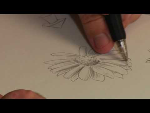 Bir Çiçek Çizmek İçin Nasıl Çizim Dersleri : 